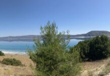 Fatih Sultan Mehmed’in İstanbul’a Dönüşü ve İlk İmar Faaliyetleri